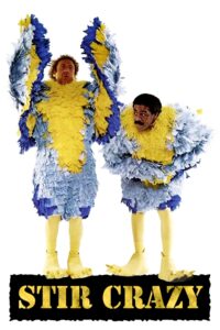 Poster for the movie "Stir Crazy"